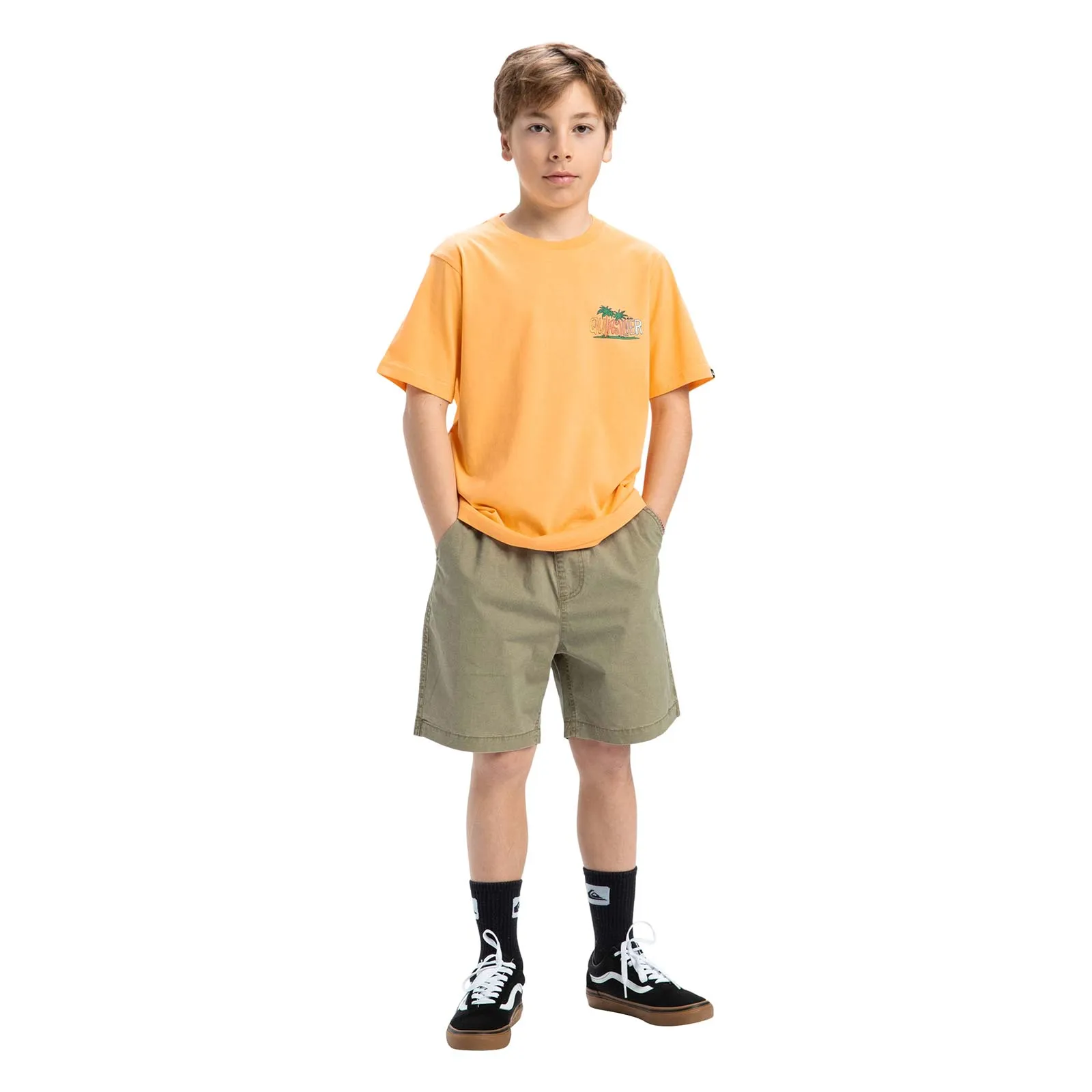 Quiksilver Kids Ev Sunny Palms Short Sleeve T-Shirt