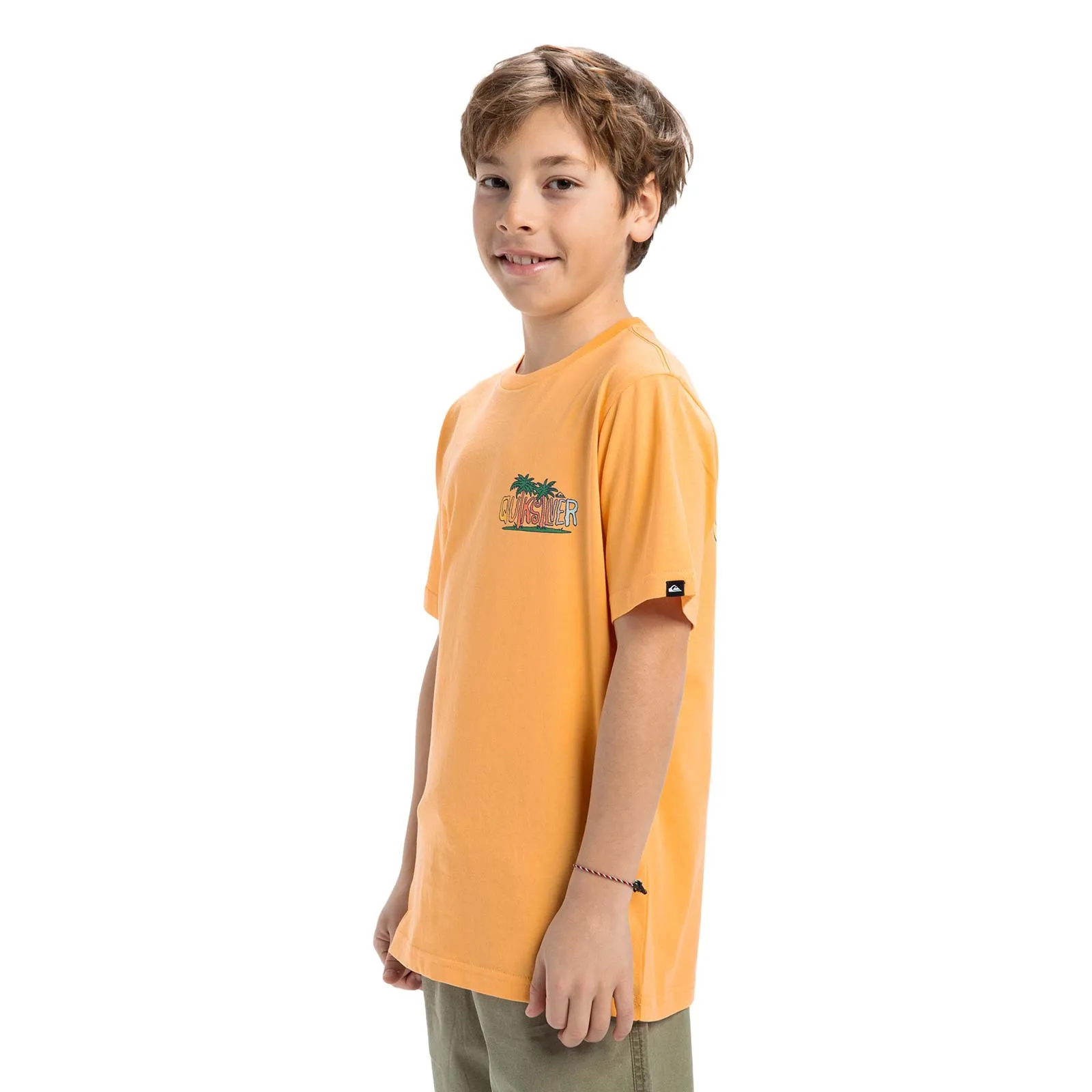 Quiksilver Kids Ev Sunny Palms Short Sleeve T-Shirt